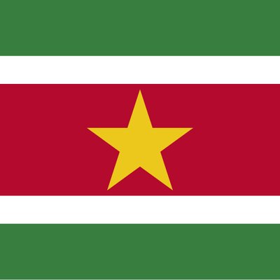 Suriname logo