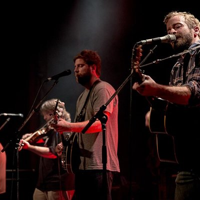 Trampled by Turtles logo