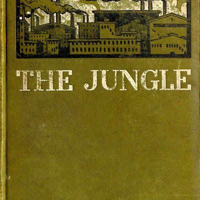 The Jungle