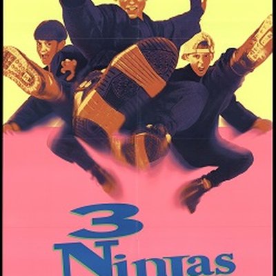3 Ninjas logo