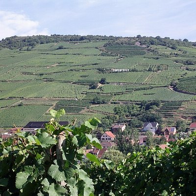 Alsace Grand Cru AOC