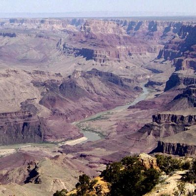 Arizona