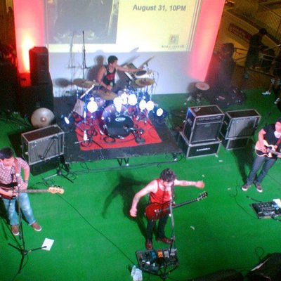 Callalily
