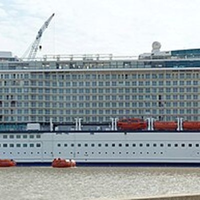 Celebrity Reflection