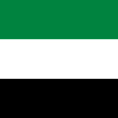 United Arab Emirates national cricket team