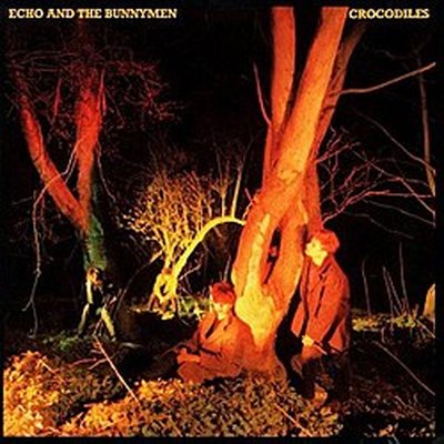 Crocodiles (band)