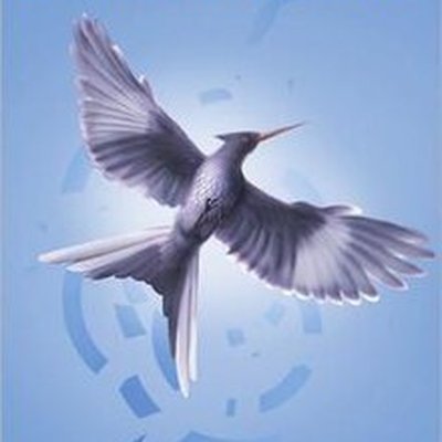 Mockingjay