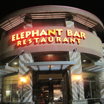 Elephant Bar