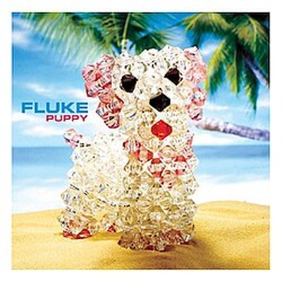 Fluke (band) logo