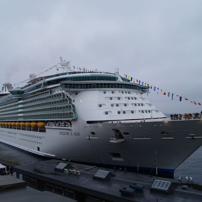 MS Freedom of the Seas