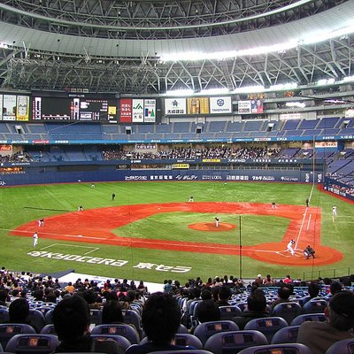 Orix Buffaloes