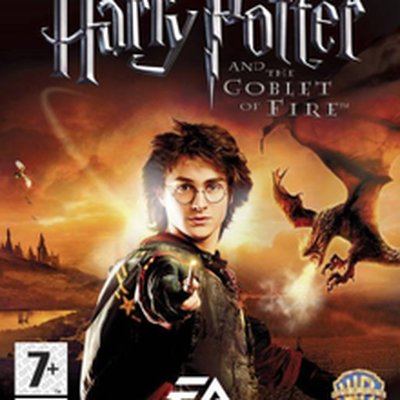 Harry Potter and the Goblet of Fire (video game)