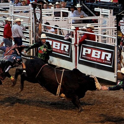 Professional Bull Riders