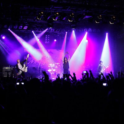 Mucc