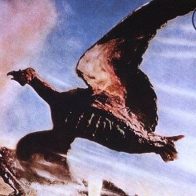Rodan
