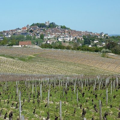 Sancerre (wine)