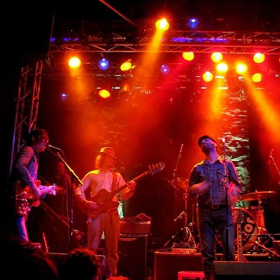 The Brian Jonestown Massacre