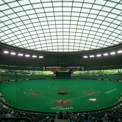 Saitama Seibu Lions