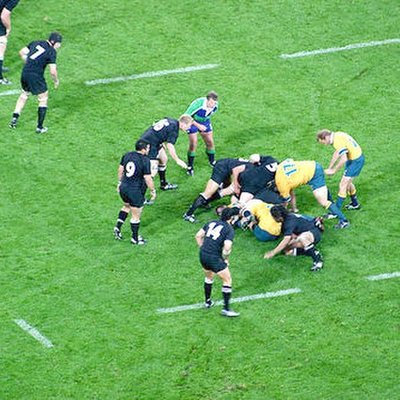Wallabies (Australian Rugby Union) logo