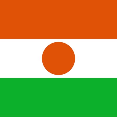 Niger logo