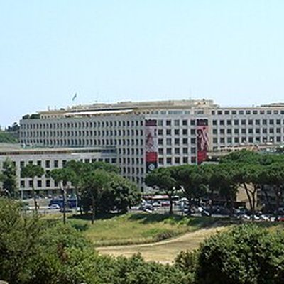 Food and Agriculture Organization