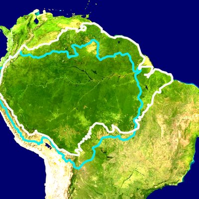 Amazon rainforest