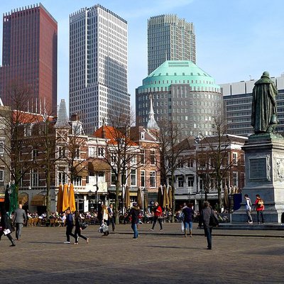 The Hague logo