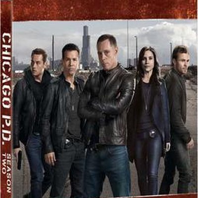 Chicago P.D. (season 2) logo