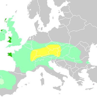 Celtic languages
