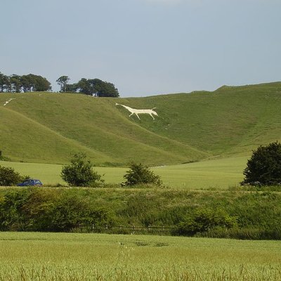 Wiltshire logo