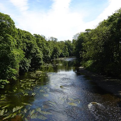 River Tees