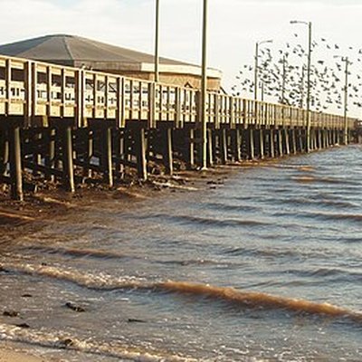 Palacios, Texas