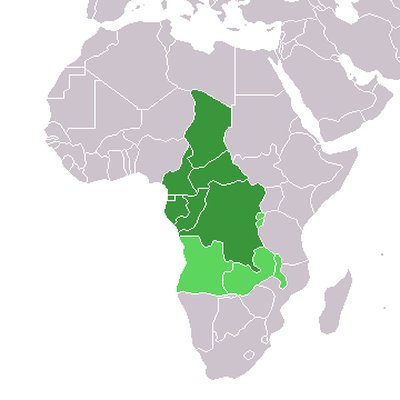 Central Africa logo