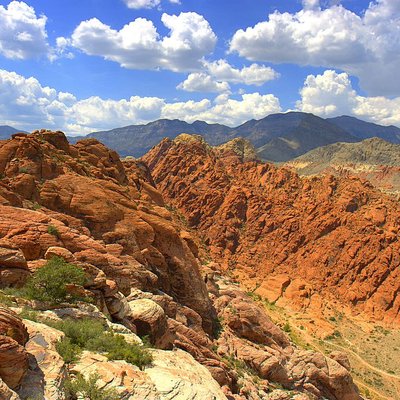 Mojave Desert