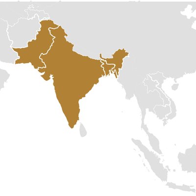 Indian subcontinent