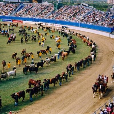 Agricultural show