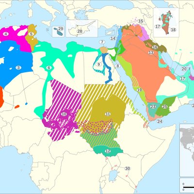 Arabic languages