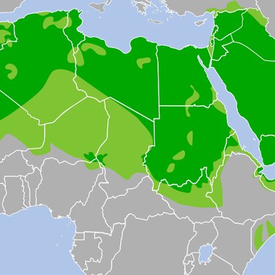 Varieties of Arabic logo