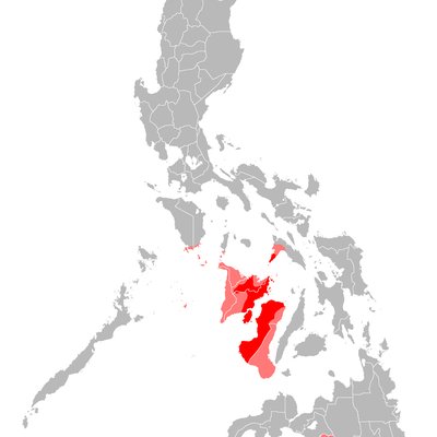 Hiligaynon language
