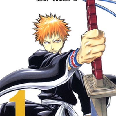 Bleach (manga)