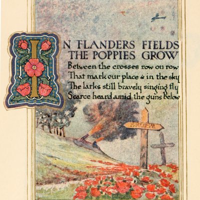 In Flanders Fields