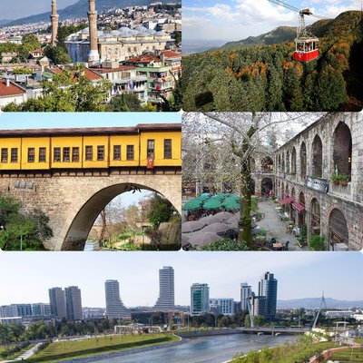 Bursa