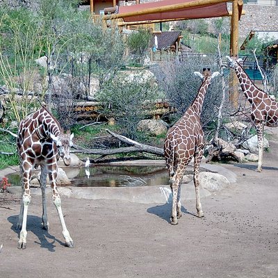 Cheyenne Mountain Zoo