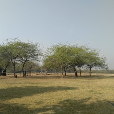 DLF Promenade