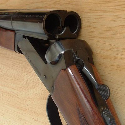 Double-barreled shotgun logo