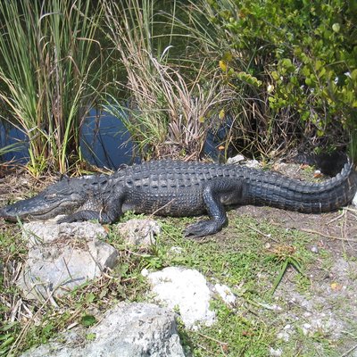 Everglades National Park