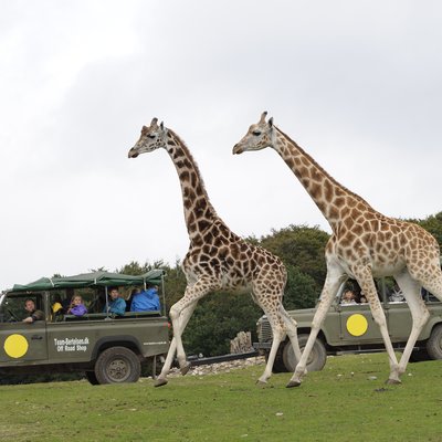 Ree Park – Ebeltoft Safari