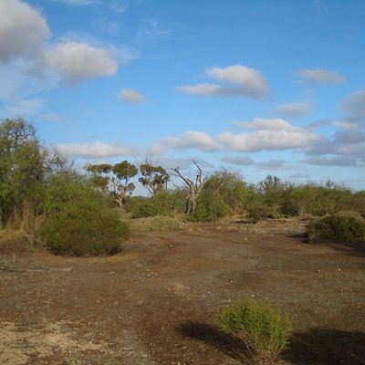 Environmental degradation logo