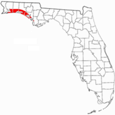 Emerald Coast logo