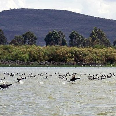 Lake Naivasha